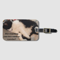 Tuxedo Cat Funny Quote Black and White Cats Girls