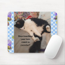 Tuxedo Cat Funny Quote Black and White Cats Girls