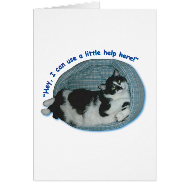 Tuxedo Cat Humor (Front)