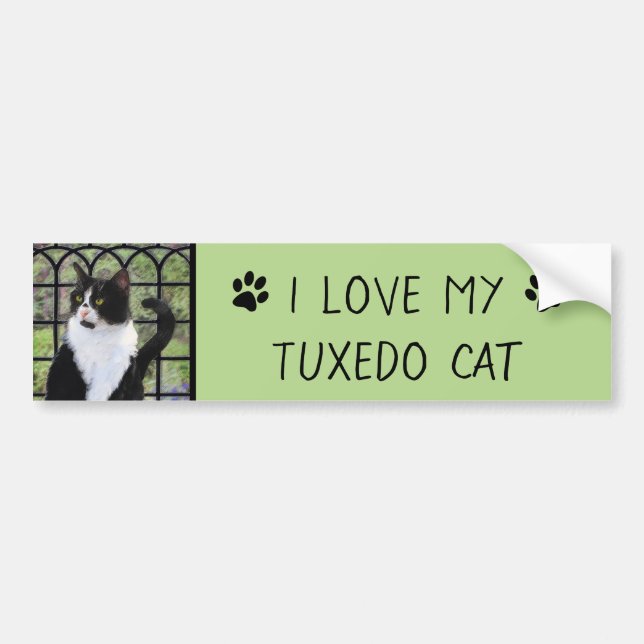 Tuxedo Cat in Window Painting Original Animal Art Bumper Sticker