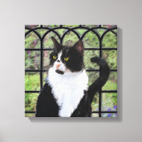 Tuxedo Cat in Window Painting Original Animal Art