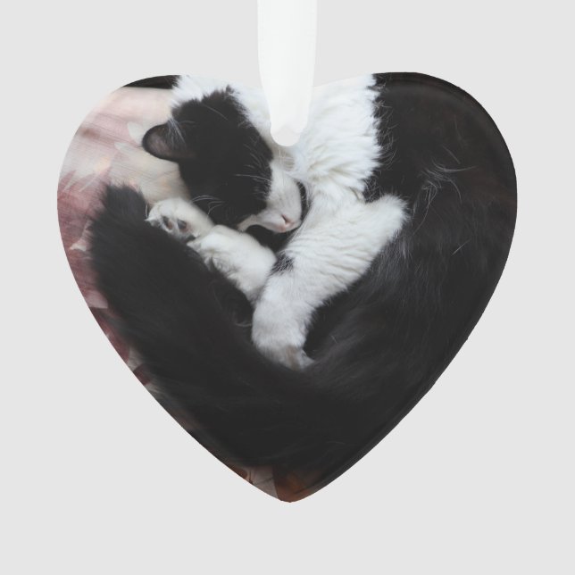 Tuxedo Cat Kitty Cats Black and White Caturday     Ornament (Front)