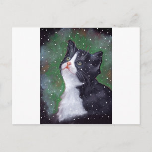 Tuxedo Cat Looking Up At Snowflakes, Painting Postcard