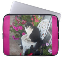 Tuxedo Cat Maroon Dark Pink Cats and Flowers