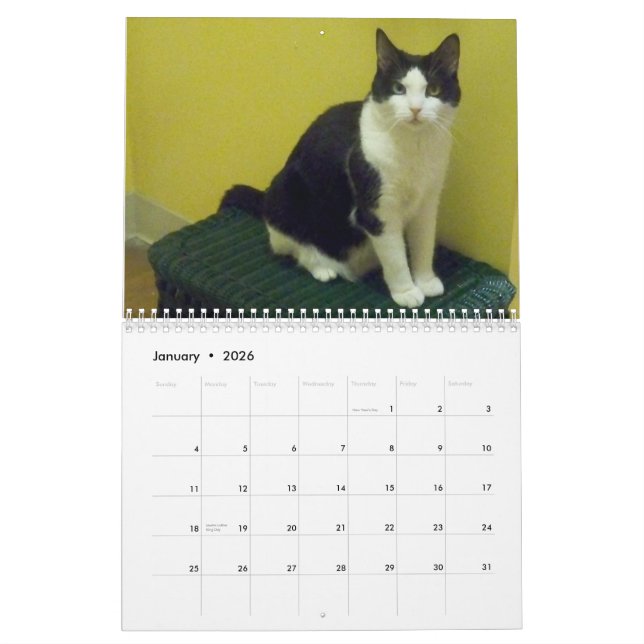 Tuxedo Cat "Molly" Calendar (Jan 2026)