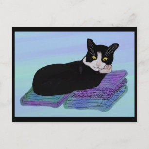 Tuxedo Cat Nap Postcards
