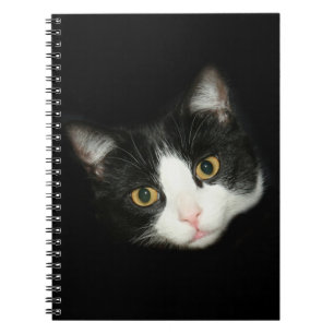 Tuxedo cat notebook
