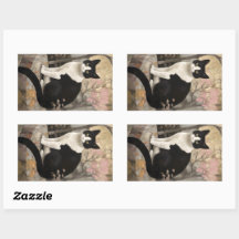 Tuxedo Cat on a Rock Sitting in a Garden