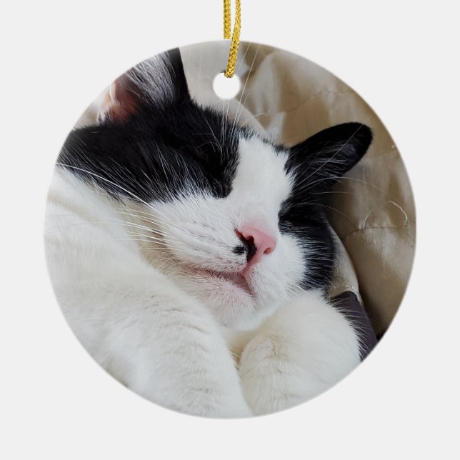 Tuxedo Cat ornament (Front)