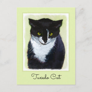 Tuxedo Cat Painting - Cute Original Cat Art Postcard