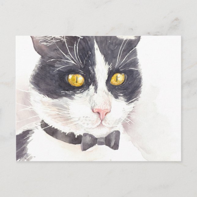 Tuxedo cat postcard (Front)