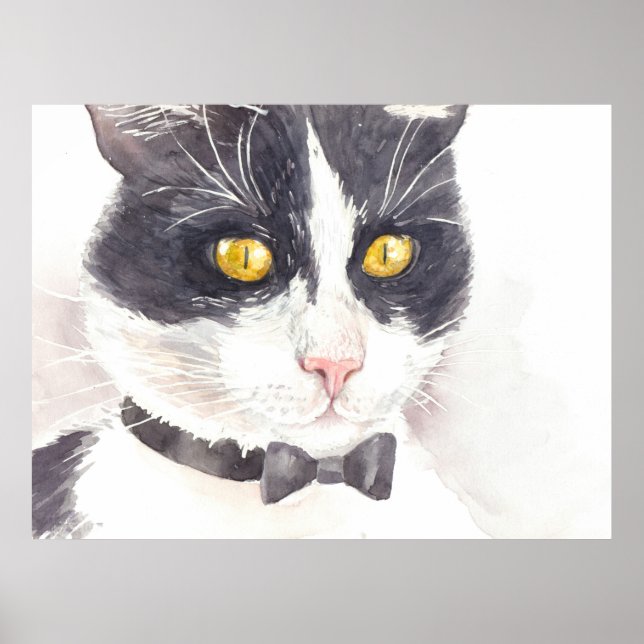 Tuxedo cat poster (Front)