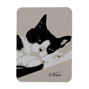 Tuxedo Cat Resting Magnet