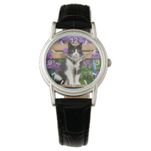 Tuxedo cat sitting on a garden chair with flowers  watch