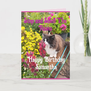 Tuxedo Cat Sniffing Flowers Funny Birthday Roses Card
