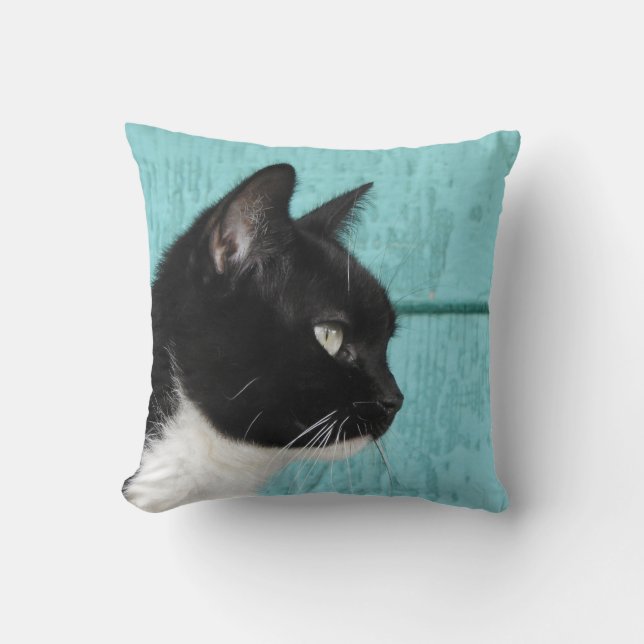 Tuxedo Cat Teal Blue Background Cushion (Front)