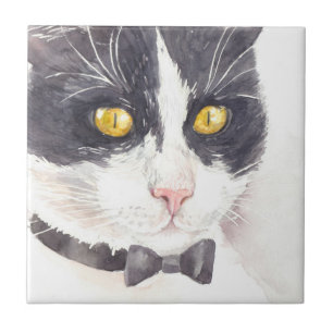 Tuxedo cat tile