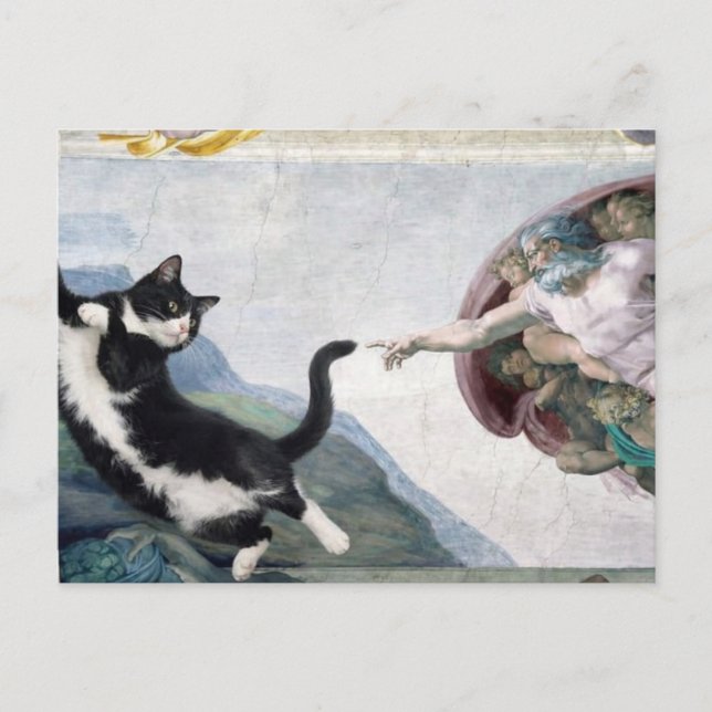 Tuxedo Cat Touching the Divine Paw                 Postcard (Front)
