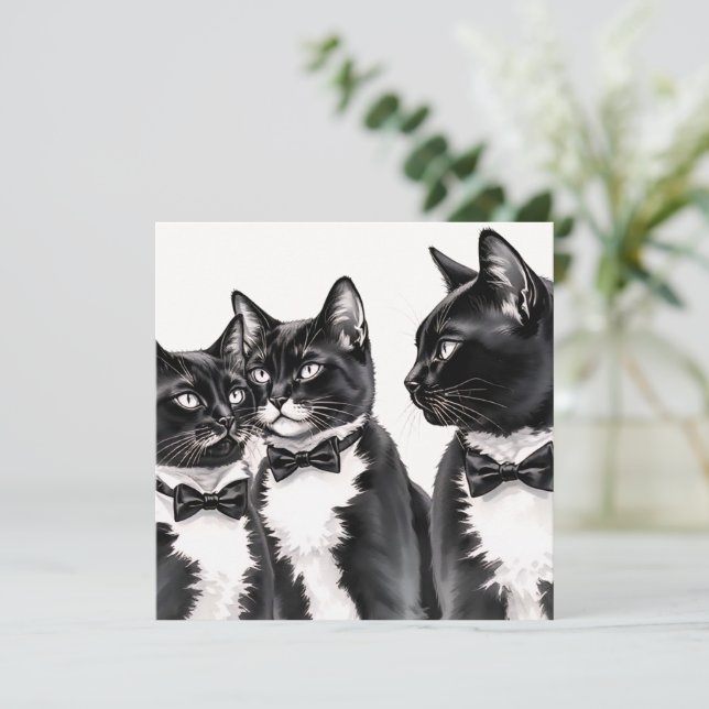 Tuxedo Cats Greetings Card (Standing Front)
