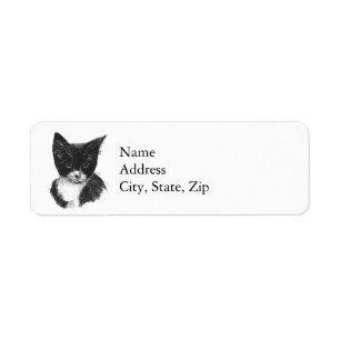 Tuxedo Kitten