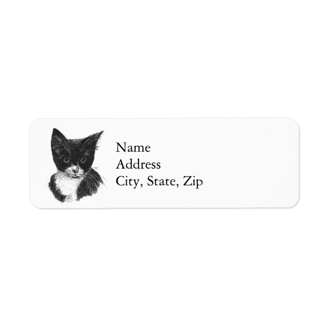 Tuxedo Kitten (Front)