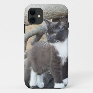 Tuxedo Kitten iPhone 11 Case