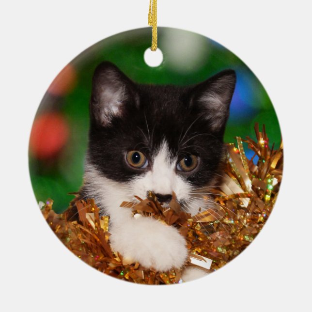 Tuxedo kitten Christmas Ceramic Tree Decoration (Back)