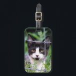 Tuxedo Kitten in the Garden  Luggage Tag<br><div class="desc">Close up of  Tuxedo Kitten named Xena in the Garden</div>