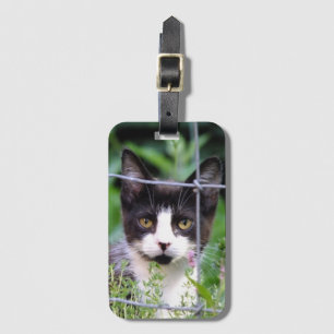 Tuxedo Kitten in the Garden Luggage Tag