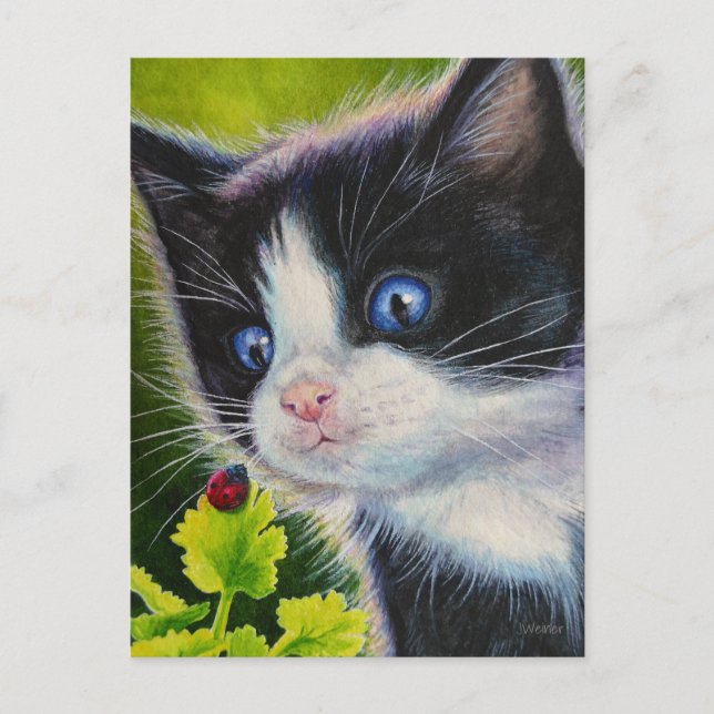Tuxedo Kitten & Ladybug Watercolor Art Postcard (Front)