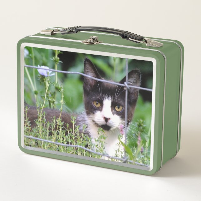Tuxedo Kitten Lunchbox (Front)