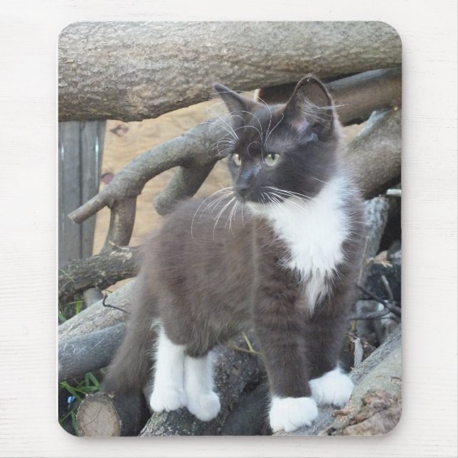 Tuxedo Kitten Mouse Pad (Front)