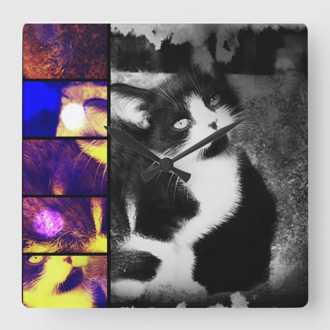 Tuxedo Kitten Photo Art Wall Clock (Front)
