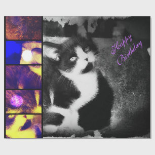 Tuxedo Kitten Photo Art Wrapping Paper *Birthday*
