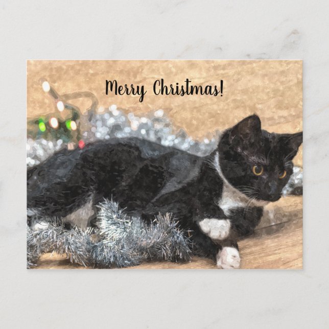 Tuxedo Kitten Tinsel and Lights Christmas Postard Postcard (Front)