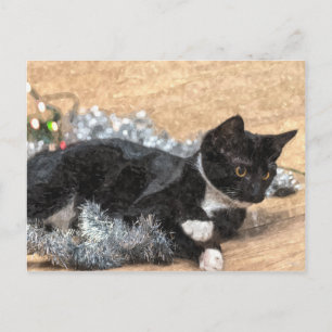Tuxedo Kitten Tinsel and Lights Postcard