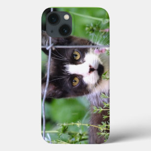 Tuxedo Kitten Xena in the Garden iPad Case