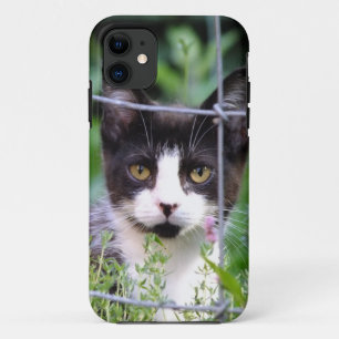 Tuxedo Kitten Xena in the Garden iPhone 5 Case