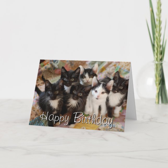 Tuxedo Kittens Card (Front)