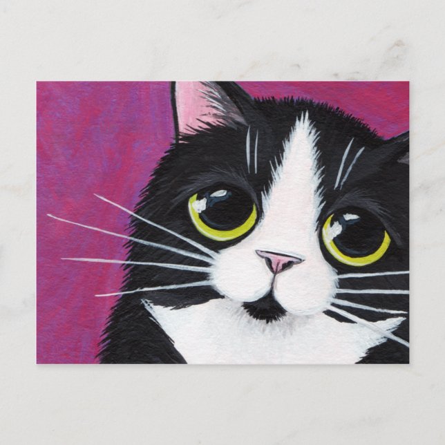 Tuxedo Kitty Cat On Pink Postcard (Front)