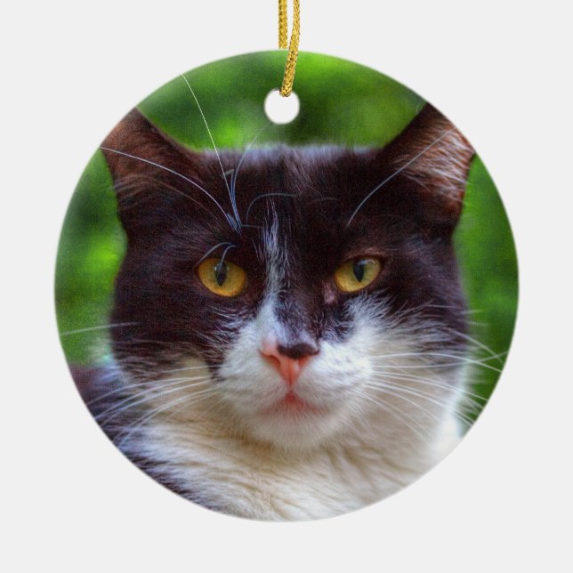 Tuxedo Portrait Ceramic Tree Decoration (Front)
