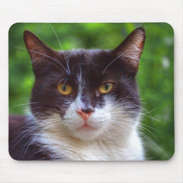 Tuxedo Portrait Mouse Pad (Front)