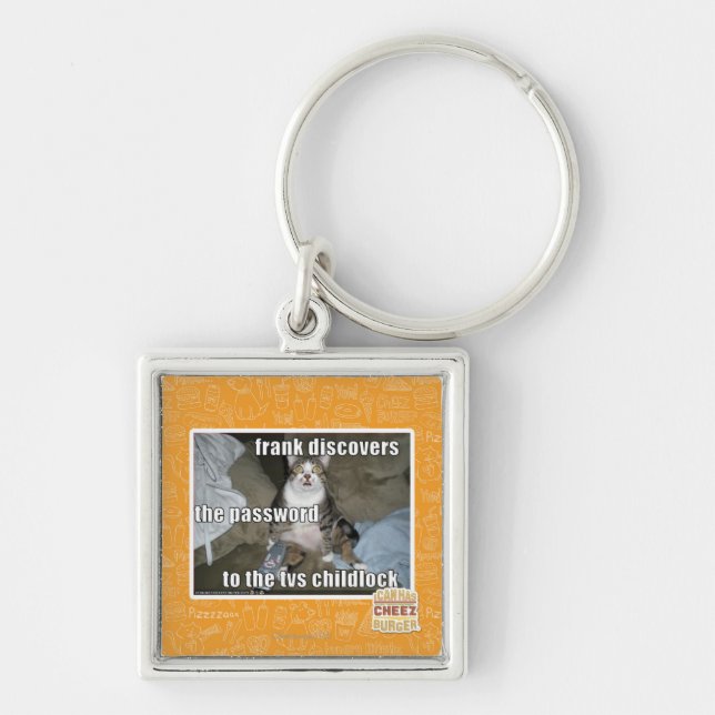 TV Childlock Key Ring (Front)