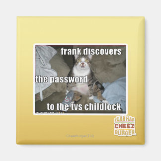 TV Childlock Magnet