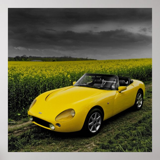 TVR Griffith Print (Front)