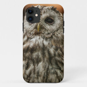 Twany Owl iPhone 11 Case