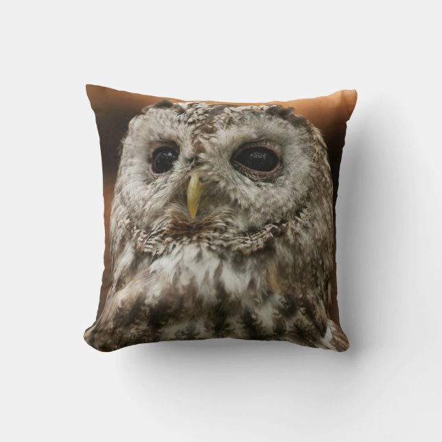 Twany Owl Cushion (Front)
