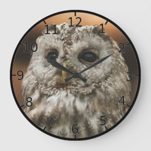 Twany Owl Large Clock