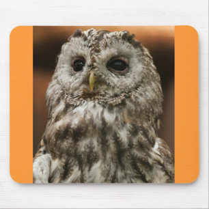 Twany Owl Mouse Pad