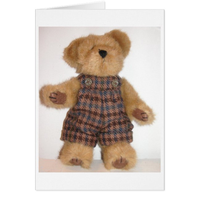Tweedie Teddy (Front)